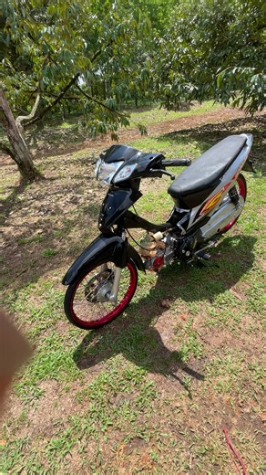 59ที้จิงใจ555#4วาวไทยแลนด์ #หลังสวนเอายู่🚀 #เปิดการมองเห็น #ยากดัง