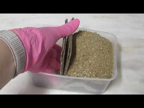 Plate Boundary Model