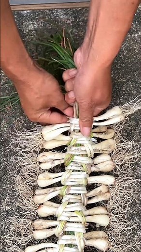 How to Braid Garlic Like a Pro | Harvest Storage Hack