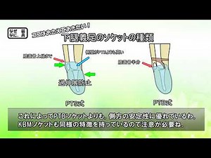 【国家試験対策編】PTSソケットのポイント #義肢装具 #下腿義足 #理学療法 #国家試験 #解説