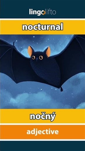🇬🇧🇸🇰 nocturnal - nočný : learn English : naučme sa anglicky : vocabulary builder