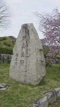2026年3月31日現在、西堀端のさくら開花状況