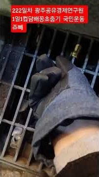 222일차 광주공유경제연구원 1일1컵담배꽁초줍기 국민운동 쥬뻬