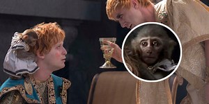 ‘Gladiador II’: Esta es la historia del tierno mono que aparece en la película dirigida por Ridley Scott