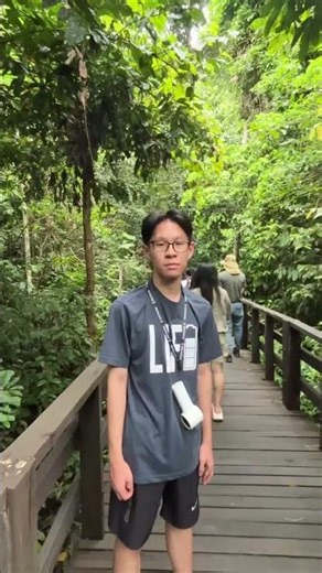 #shorts Borneo Sabah SANDAKAN SEPILOK ORANG UTAN I 婆罗洲沙巴山打根西必洛人猿
