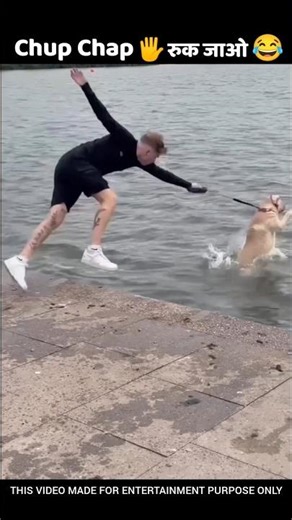 logo ke gajab karname 😁 Funny (Part-43) #shorts #entertainment #funny