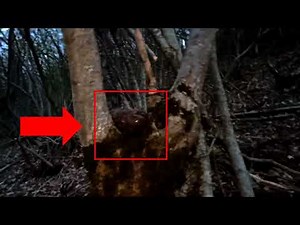 Creepy creature Cryptid caught on camera in the woods. scary things in the forest