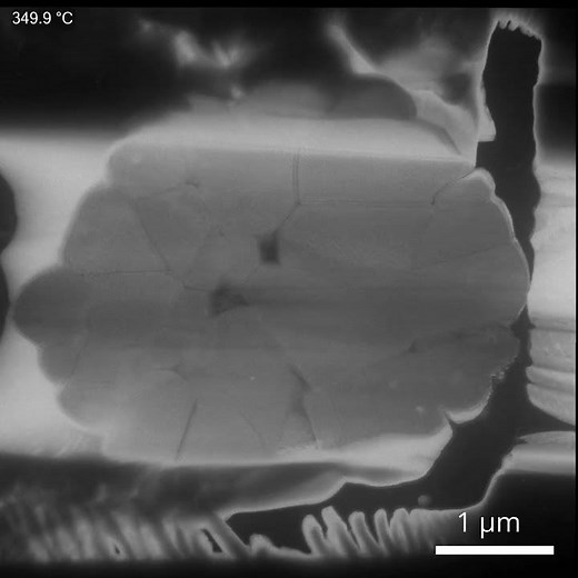 In Situ 4D STEM of LiNiO2 Particles Heated in an Oxygen Atmosphere