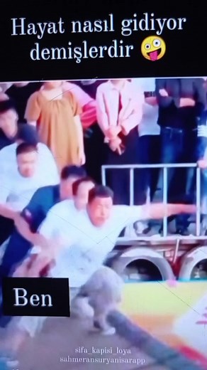 Inflatable Slide Fun: A Day of Laughter and Joy