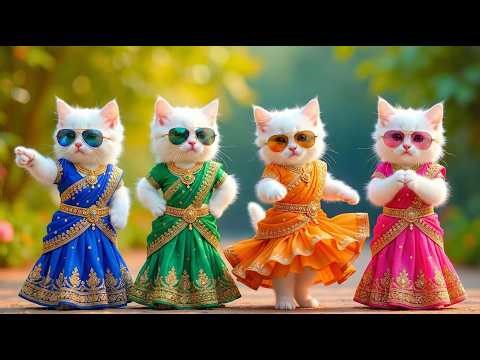 Funny Dancing Cats Compilation 🤣 AI Cats Having a Dance Party #funny #dancingcat #cat #cute