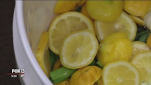 Sarasota composting program helps restaurants reduce waste