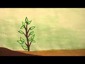SAVE TREE ANIMATED STORY