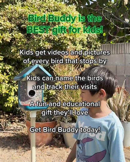 1.9K views · 196 reactions | Love watching birds in your backyard?  With Bird Buddy, you can do more than just watch!  Get real-time alerts when new birds visit  Identify 1000+ species with ease  Capture stunning photos & videos Ready to bring nature closer? Explore Bird Buddy now ➡️ https://mybirdbuddy.com/ | Birdbuddy | Facebook