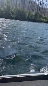 Our veterans enjoyed two days fly fishing on the McKenzie River in Oregon, thanks to Caddis Fly Angling Shop and Stryten Energy. | Rivers of Recovery