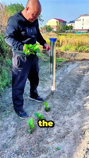 Super Fast Planting Tool! Automatic Seedling Planter That Saves Time!