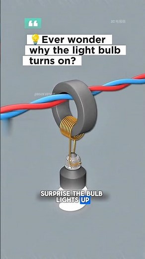 This Magnet Trick Lights Up a Bulb! Simple Science That Feels Like Magic! #science #shorts #fyp