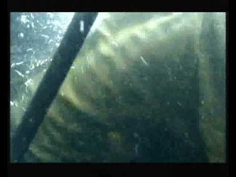 Casualty's Greatest Ever Deaths (6) - Claire Guildford.wmv