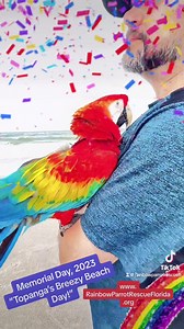 Rainbow Parrot Rescue Florida, Inc., #501c3 #nonprofit #parrotrescue #parrotsanctuary Thank you so much to Parrot Addict for the gorgeous #GREENWINGMACAW wrap!! Enjoy this fun video of, “Topanga’s Breezy Beach Day!” #2023 🌈🦜 DONATE TODAY, & BE A PART OF THE CHANGE!! 🌈🦜 •••••••DONORBOX LINK••••••• https://donorbox.org/rainbow-parrot-rescue-florida 🌈🦜WEBSITE: 🌈🦜www.RainbowParrotRescueFlorida.org #rainbowparrotrescuefloridaFlorida’s Premier 501c3, #Parrot & #Toucan, #Rescue, #Sanctuary, & #