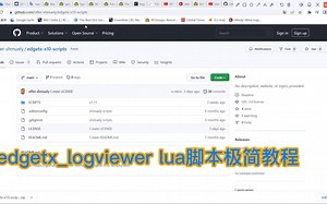 【教程】如何在遥控器上添加LogViewer Lua脚本 极简教程