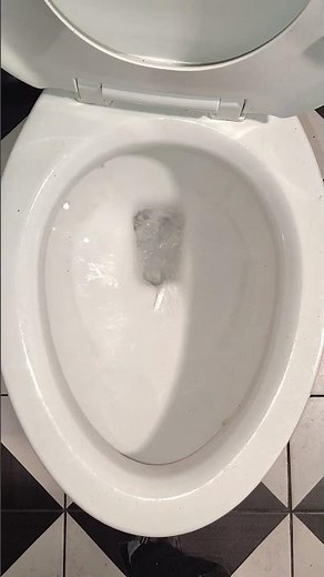 2025 American Standard Rumson Toilet!