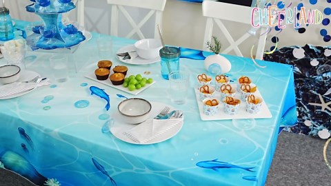 Cheerland Iridescent Jellyfish Decor Under The Sea Party Decorations Mermaid Birthday Decorations Hanging Jellyfish Hanging Decor Ocean Party Decoration Bridal Baby Shower Wedding Party Supply