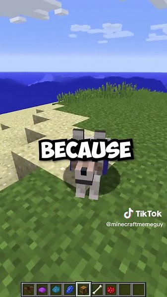 Crafting Wolf Armor in Minecraft