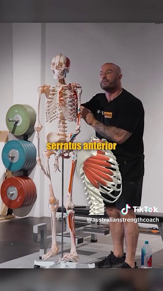 Shoulder health 101 (8 minute education video) Rotator cuff health is commonly considered to be the most import part of maintaining healthy shoulders, and while having a strong rotator cuff is a good thing, there’s a lot more to shoulder health than just the rotator cuff. Check out this 8 minute video if you want to learn about all things shoulder health. Save this post and thank me later 💪