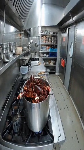 Life is all about perspective. The sinking of the Titanic was a miracle for the lobsters in the ship's kitchen. | Evan Era