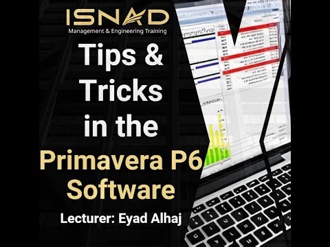 Tips & Tricks in the Primavera P6 Software (Clip 1)
