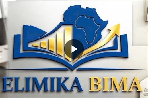 ELIMIKA BIMA: 📚Empowering Financial Literacy and Risk Awareness | Leynard Madafu