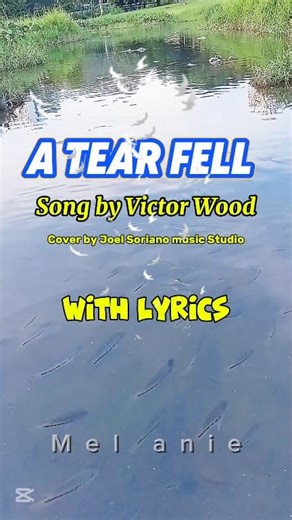 🌻A Tear Fell With Lyrics Cover by Joel Soriano Music Studio #Atearfell DISCLAIMER: I hereby declare that I do not own the rights to this music/song. All rights belong to the owner. Thank you for Watching God Bless | Mel Anie