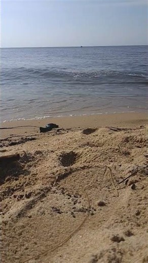 (loop video) beach waves_2 #beach #beachwaves #loopvideo