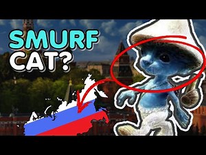 Why Blue Smurf Cat is Everywhere? | SMURF CAT Explain