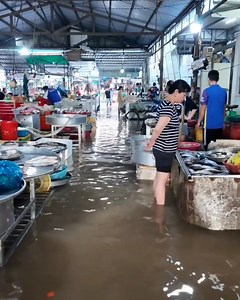 686K views · 4.4K reactions | Chơi Bình Thủy Cần Thơ đường Sông Thành Đường Biển bà còn ngập Sâu 5 | Sài Gòn Go TV | Facebook