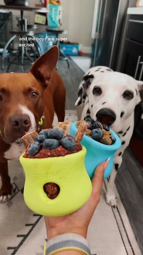 Baloo and Louie Weekly Enrichment Prep: Dog Food Recipes & Ideas