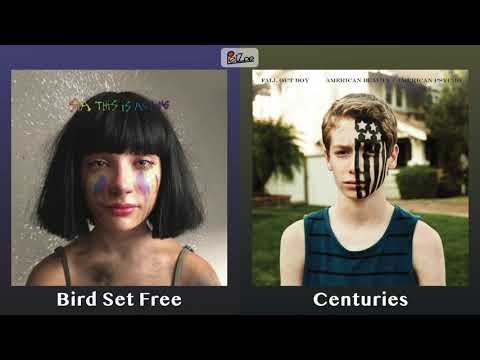 Bird Set Free x Centuries (mashup) - Sia, Fall Out Boy