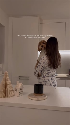 Delphi on Instagram: "the only way I want to spend Christmas Eve is with my dog 🐾🍪 Dog, Christmas, Santa, cookies, festive, cute dog"
