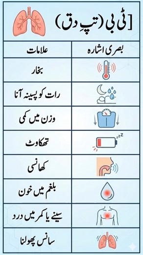 Care Pharma Plus on Instagram‎: "The clean, professional 2D design features a soft medical aesthetic. It begins with an animated illustration of the lungs, highlighting the respiratory system primarily affected by TB. A structured table then details key symptoms in Urdu, each paired with a continuously looping icon for immediate visual recognition: بخار (Fever): A pulsing thermometer. رات کو پسینہ آنا (Night Sweats): A moon with dripping droplets. وزن میں کمی (Weight Loss): A tipping scale. تھکا