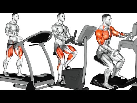 Beginners Weight Loss Workout Using Gym Machines