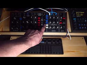 Behringer Model D Solo and Korg SQ-64: 64 Steps sequence