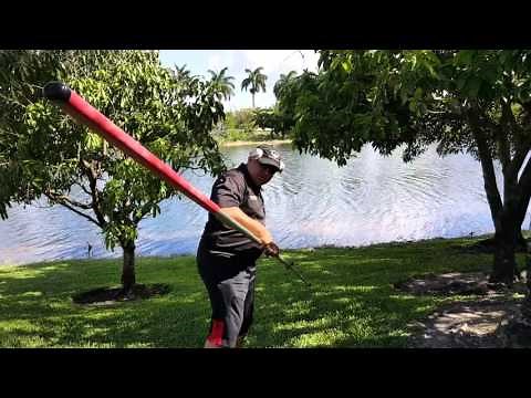 Pole saw demonstration barnell usa