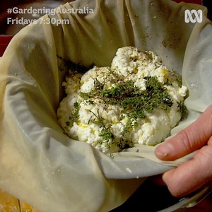 Hannah shows us how to make delicious cheese at home using fresh goat's milk! 🧀 One of the many benefits of keeping goats is enjoying their fresh milk. If you don't have goats, you can surely track down some milk and give it a go. Although, you may find making this chevre at home may persuade you to adopt a couple of kids! 🐐🐐 | Gardening Australia