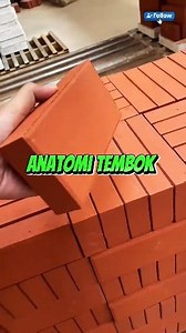 Anatomi Tembok #faktaunik #sains #facts | Mansyur Suhardi