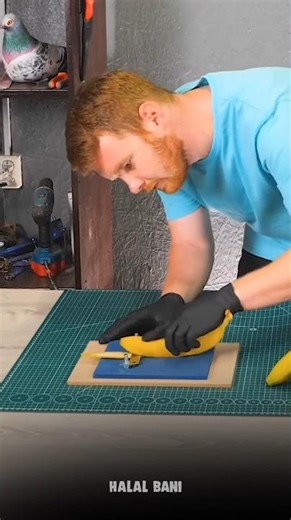 পাখির তিনটি উপদেশ 🌸 #youtubeshorts #ytshorts #storytime #story #shortsfeed