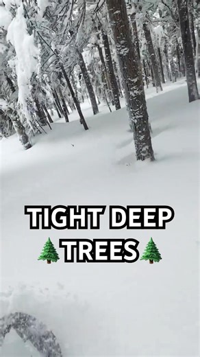 Floating Through Tight Trees #snowboarding #skiing #mountains #winter #snow