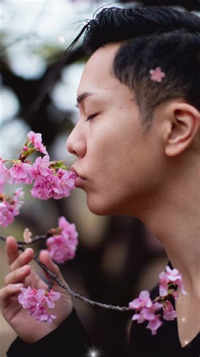 Kissing sakura and kissing you too🥰😘🌹🌸 #cherryblossom #sakura #kiss #date #boyfriend