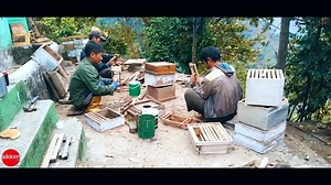 MAKING OF THE BEE HIVE BOX #sikkim #bees | Sikkim.com