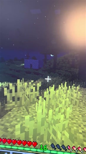 We found hetzer in the broken script!#hetzer #thebrokenscript #wefoundhim #minecraft