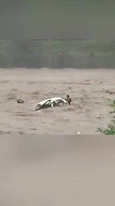 How to save yourself if the car accidentally fell into the water? #cars #automotive #driving #drivingskills #drivingtips #drivinglessons #fbreels #fbreelsvideo #fyp #foryou #cargadgets | Aesthetic Vibes