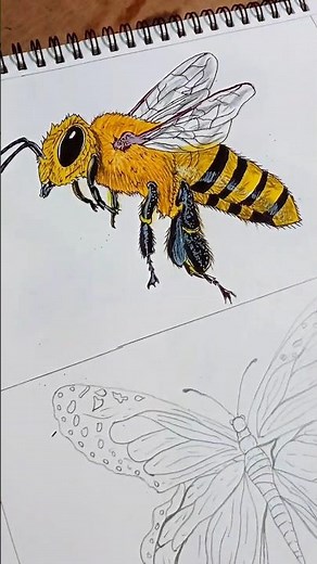 🐝 Amazing Honey Bee Drawing Tutorial #Drawing